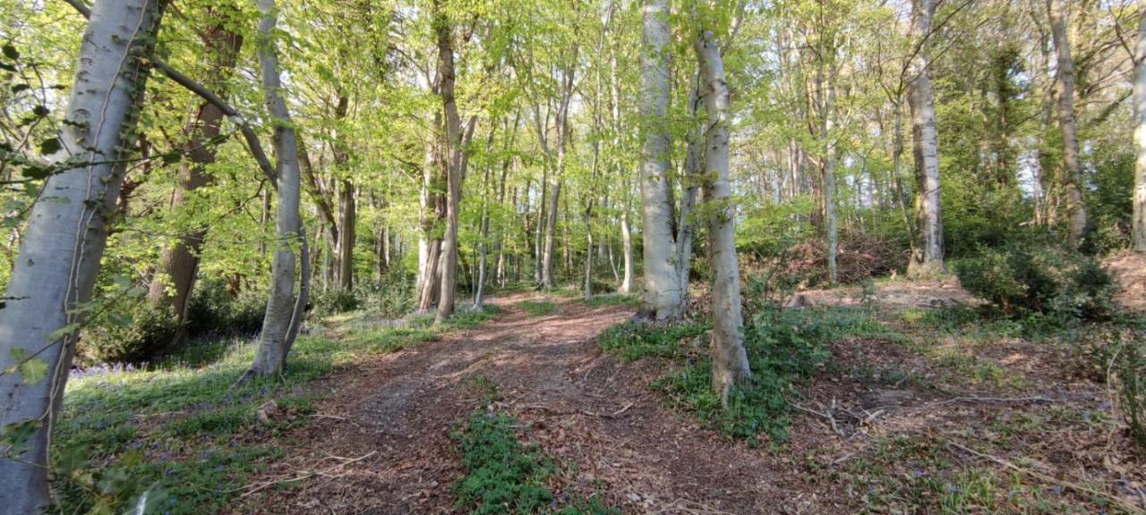 Gites 4,6 Personnes Fecamp Etretat Colleville Exterior foto